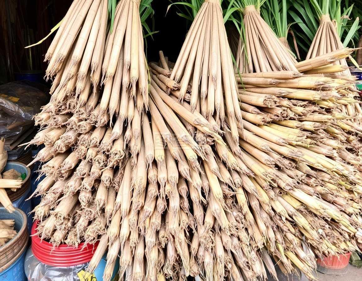 甘蔗 甜蜜的象征与多元之用的自然馈赠