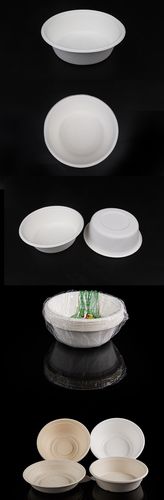 新品厂家直销一次性甘蔗浆纸碗可降解餐具650ml碗